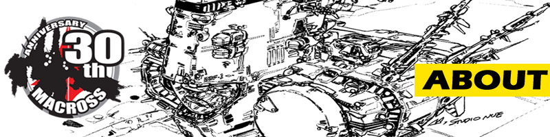 LEGO Macross About Header